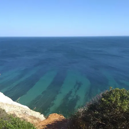 Safari Guest house *