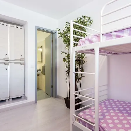 Safari 게스트하우스 *